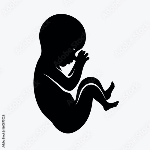 a black silhouette of a fetus in a womb curled up position