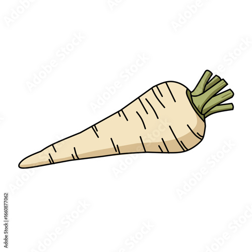 A single, stylized parsnip dominates the frame, lying diagonally from the upper right to the lower left. The parsnip is a creamy white color, subtly shaded with light tan, and tapers to a point at its