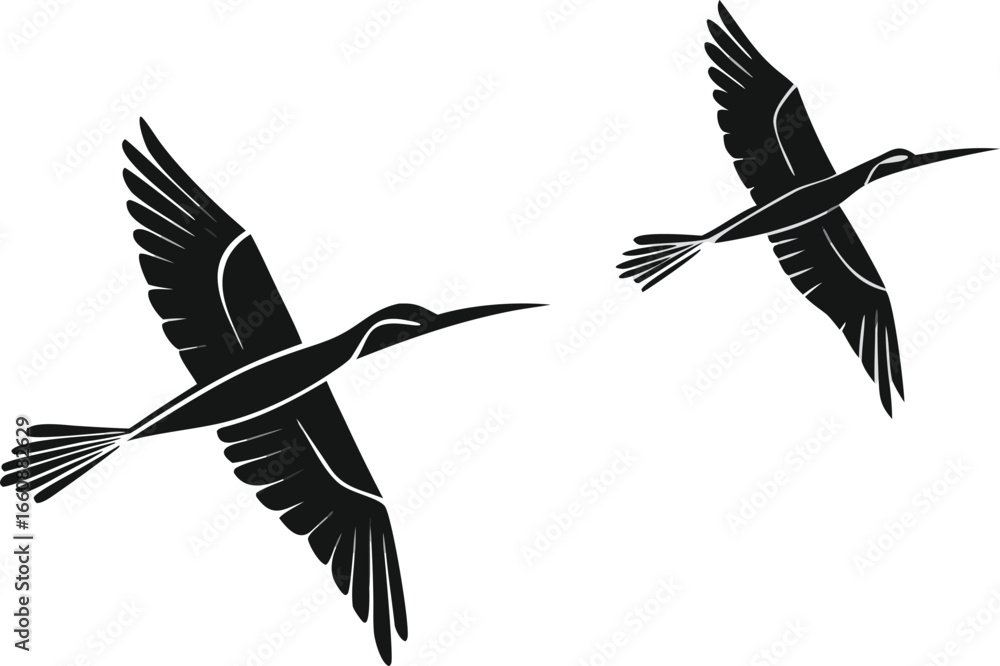 Obraz premium Two birds in flight, stylized silhouette graphic design.