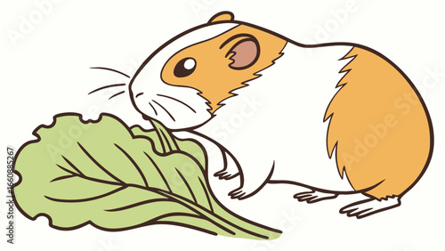 Cartoon guinea pig happily eating a fresh green vegetable leaf illustration
