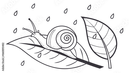 Snail on a leaf with raindrops, black and white line art illustration