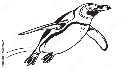 Dynamic swimming penguin line art illustration, black and white outline, isolated vector graphic