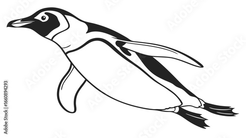 Black and White Swimming Penguin Illustration - Antarctic Bird Diving in Water