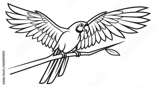 Outline drawing of a parrot bird spreading wings on a tree branch, black and white vector illustration