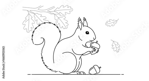 Line Art Illustration of a Cute Squirrel Holding an Acorn with Oak Leaves and Branch, Autumn Theme