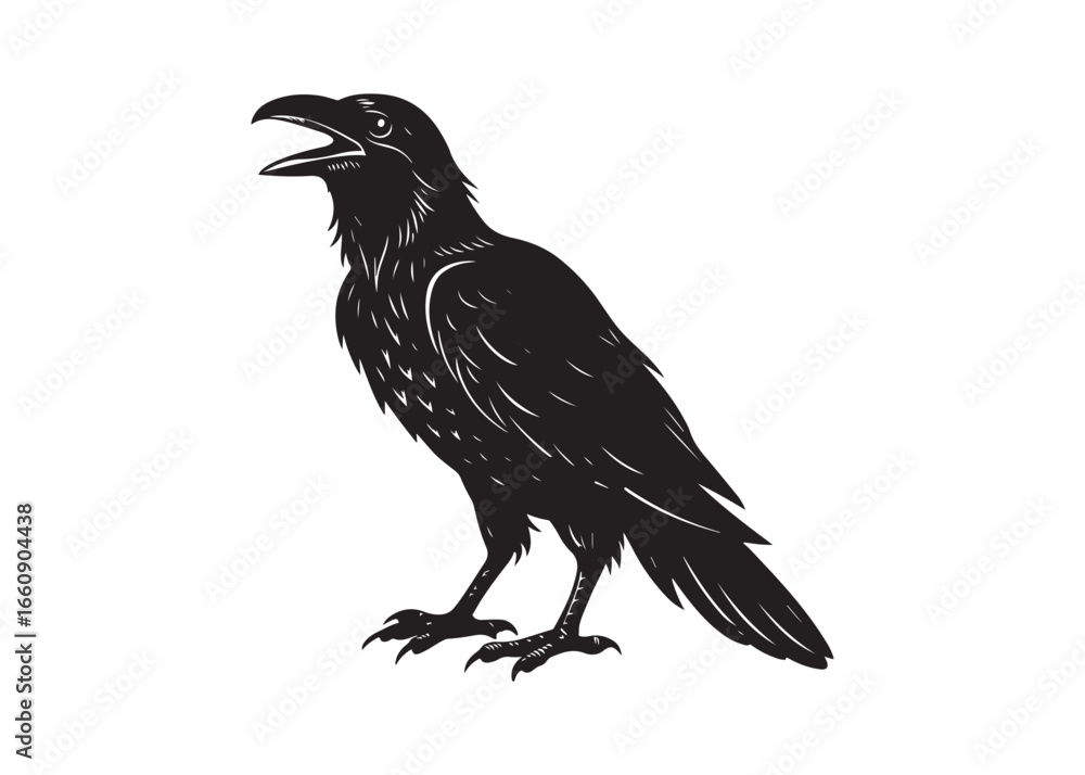 Fototapeta premium Raven Silhouette Vector Illustration Isolated on White Background.