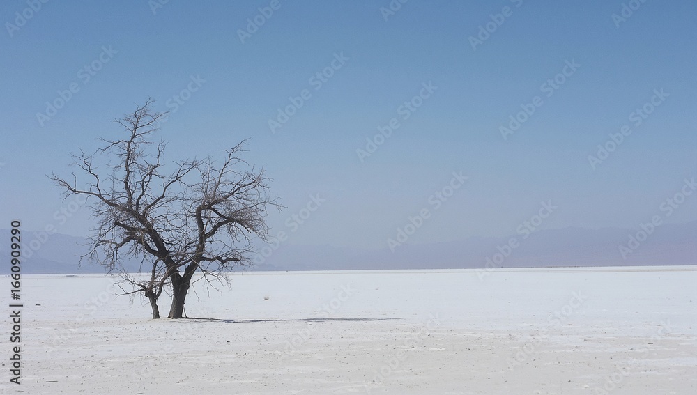 custom made wallpaper toronto digitalA lone tree stands on a vast white salt flat landscape