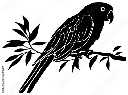 Silhouette of cockatoo bird 