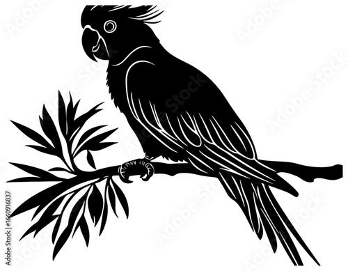 Cockatoo Silhouette with Crest Raised