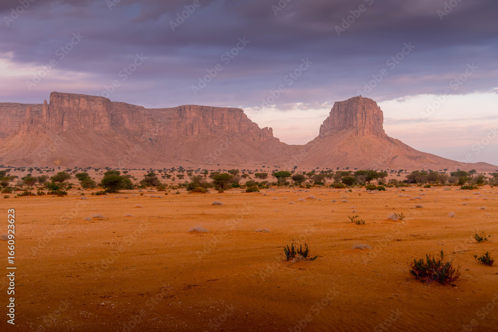 Vast Arabian desert landscape in Saudi Arabia, characterized by rugged sandstone formations and sparse vegetation under dramatic, cloudy skies.
Vast Arabian desert landscape in Saudi Arabia, characterized by rugged sandstone formations and sparse vegetation under dramatic, cloudy skies.