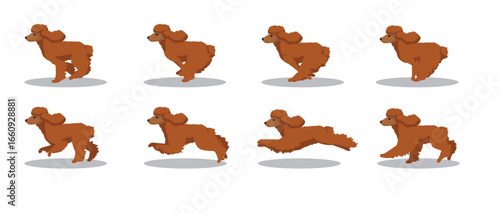 Poodle Red Running Side Cartoon Animation Frame Vector
