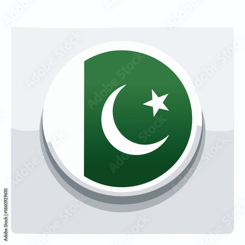 A detailed illustration of a badge featuring the flag of Pakistan, with a crescent moon and star.