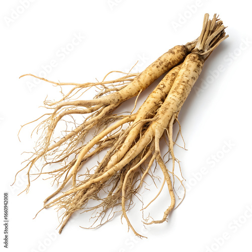 Dried shatavari root placed on a white background, emphasizing its fibrous texture, beige color,