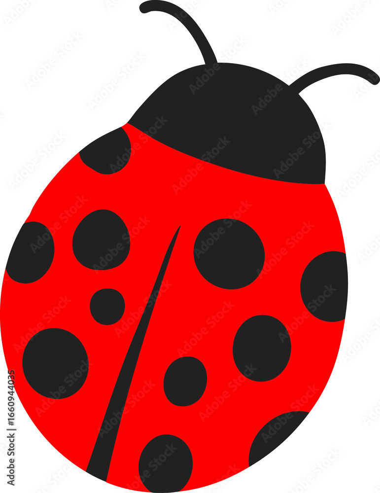 Obraz premium 무당벌레