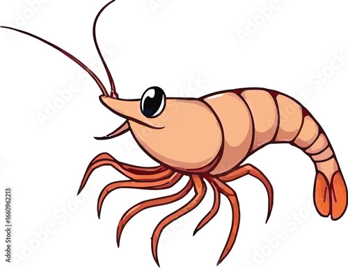Cute cartoon a illustrator vector prawn