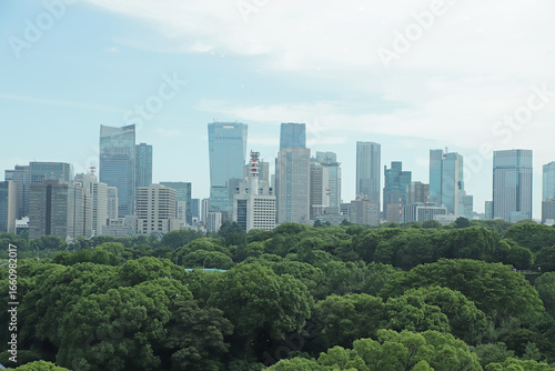 東京千鳥ヶ淵の森とビル群