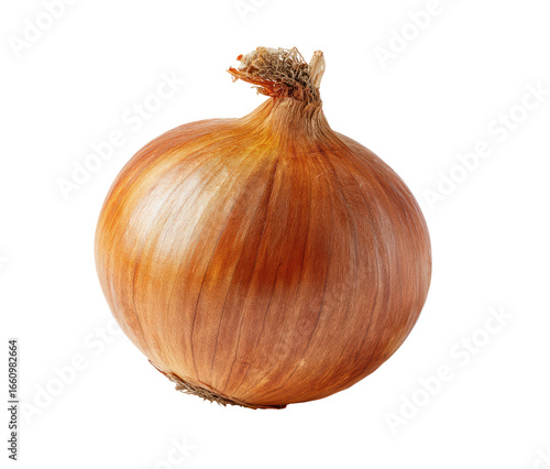 Single onion, light brown, round