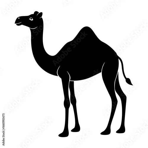 Black silhouette of a dromedary camel, a onehumped mammal, isolated on a