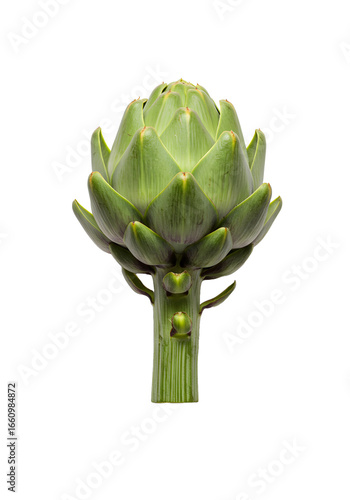 Fresh Green Artichoke with Stem Isolated on Black