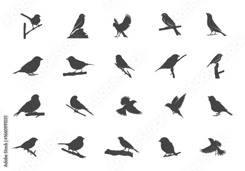 Canvas Print Sparrow silhouette, Sparrow svg, Flying sparrow silhouette, Flying sparrow svg, Sparrow birds svg, Sparrow clipart, Sparrow vector