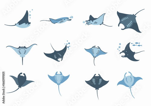 Manta rays swimming collection with transparent background