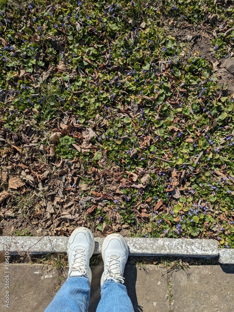 Fototapeta premium walking in the park