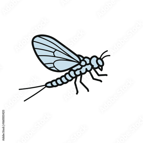 Mayfly illustration, showcasing its delicate wings and segmented body.