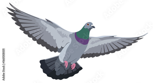 Stylized depiction of a city pigeon soaring with outstretched wings against a clear backdrop representing urban nature exploration