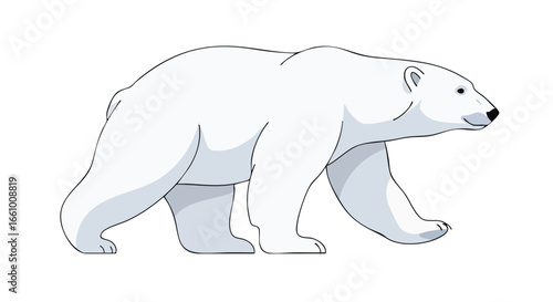 Stylized polar bear illustration showcasing a gentle expression and a simplified design for children books