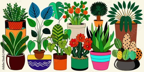 Blooming plants and cacti in decorative pots