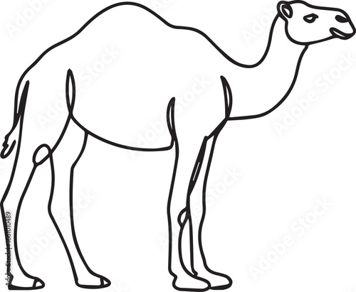 Serene camel art outline design, perfect for travel brochures, educational materials, and desert-themed projects needing a touch of wildlife charm