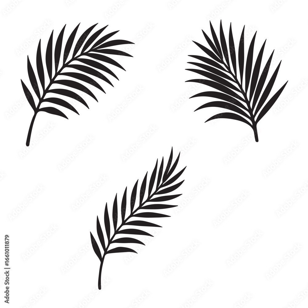 Obraz premium palm tree leaves silhouette vector