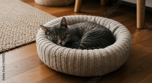 Cozy Sleep: Adorable Grey Tabby Kitten Napping in a Soft Knitted Pet Bed on Hardwood Floor