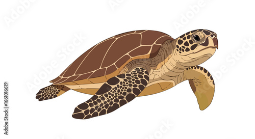 Detailed depiction of a sea turtle swimming peacefully in clear water, highlighting the intricate patterns on its shell and flippers against a