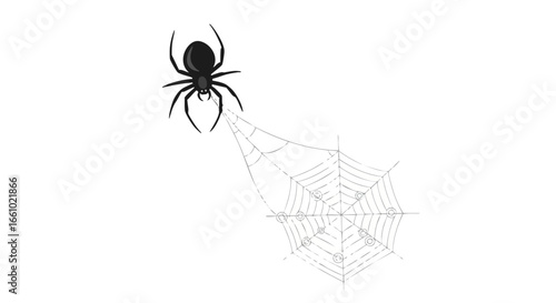 Minimalist halloween theme featuring an illustration of a spider spinning its web creating a spooky atmosphere for the holiday season