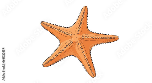 Vibrant starfish illustration against white background, captivating nautical themed graphic perfect for coastal designs and summertime promotions