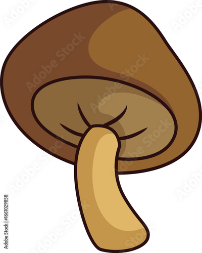 vector illustration of mushrooms