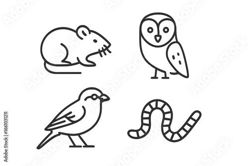 Field wildlife outline icon set. Simple linear icons of meadow biodiversity animals: field mouse, barn owl, sparrow, and earthworm. Vector illustration and logo design elements.