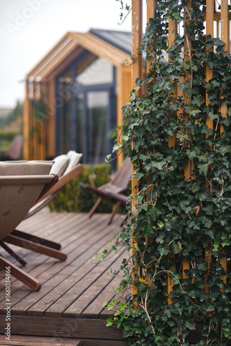 A modern wooden cabin with a deck and outdoor chairs, partially obscured by a trellis covered in a lush green ivy vine in the foreground.
