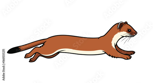 Cartoonish Stoat Sprinting Forward with Exaggerated Motion, a dynamic illustration of a weasel-like creature in full stride displaying grace and