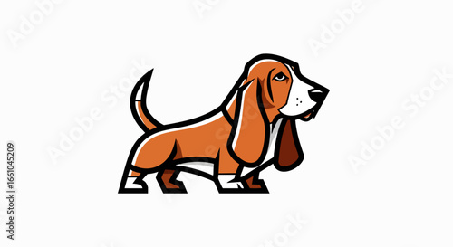 Basset hound illustration graphic design