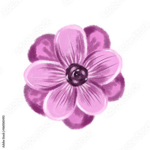pink orchid flower illustration isolated on white background
