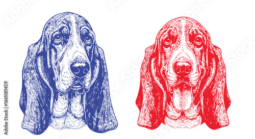 Vector SVG Illustration of Basset Hound Dogs in Modern Line Art Style with Blue and Red Colors