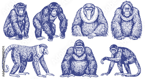 Vector SVG Illustration of Seven Monkeys in Line Art Style Featuring Detailed Outlines and Monochrome Blue Palette for Digital and Web Design