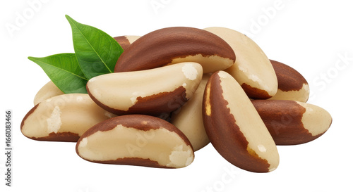 Bild auf Leinwand Isolated Heap of Brazil Nuts