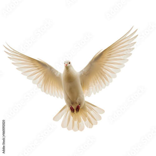 Majestic White Dove in Flight: Symbol of Peace and Hope