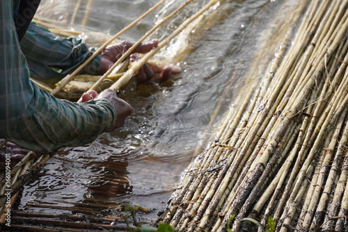 The process of retting jute stems in water in close up