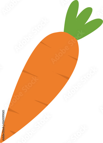vector illustration of a carrot