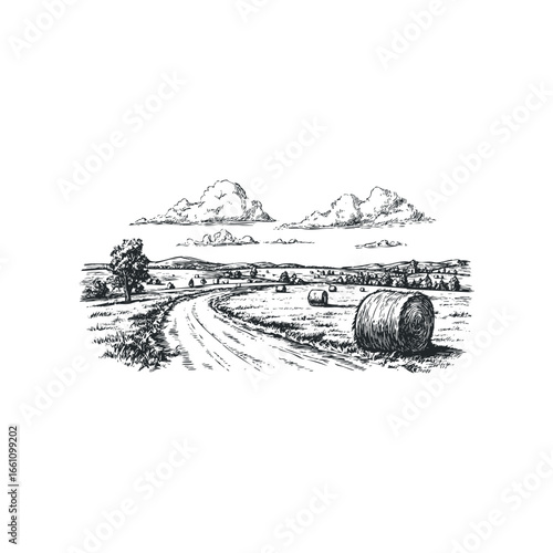 Rural landscape with hay bales and a winding dirt road under a cloudy sky