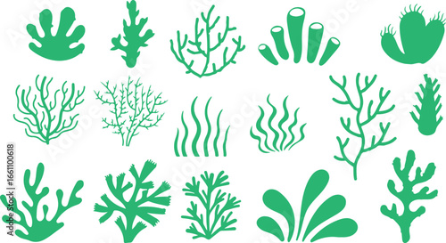 Seaweed and Coral Vector Set – Ocean Plants, Marine Flora, Underwater Illustration